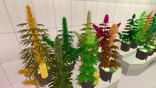 weed-shop-2-free-download-screenshot-2-8867255