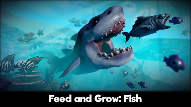 feed-and-grow-fish-free-download-6339822