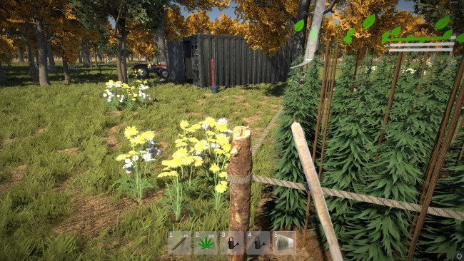weed-farmer-simulator-free-download-screenshot-1-7484659