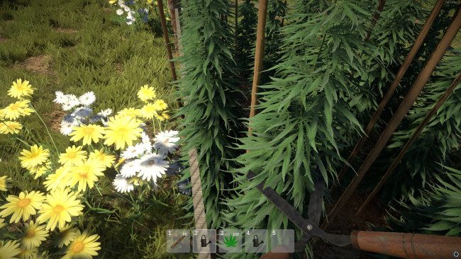 weed-farmer-simulator-free-download-screenshot-2-3600575