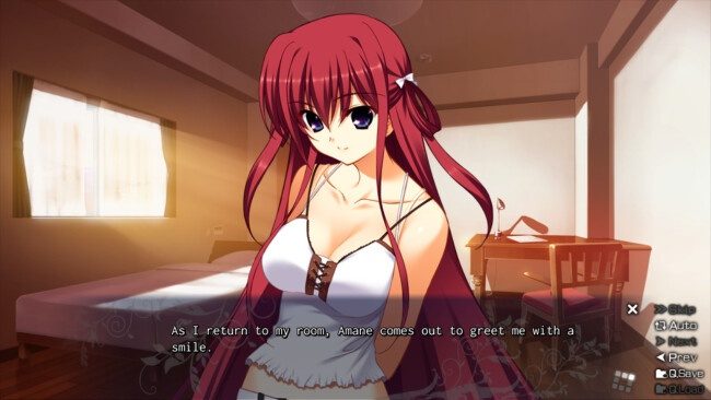 the-labyrinth-of-grisaia-free-download-screenshot-2-9507127
