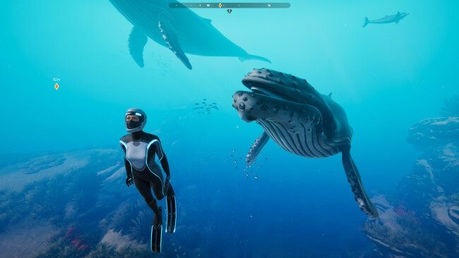 beyond-blue-free-download-screenshot-1-8731511