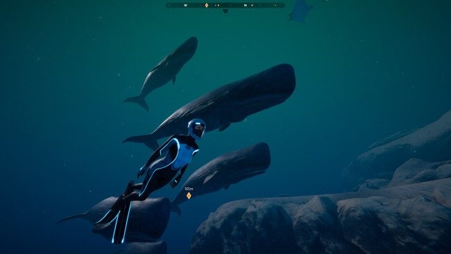 beyond-blue-free-download-screenshot-2-4246866