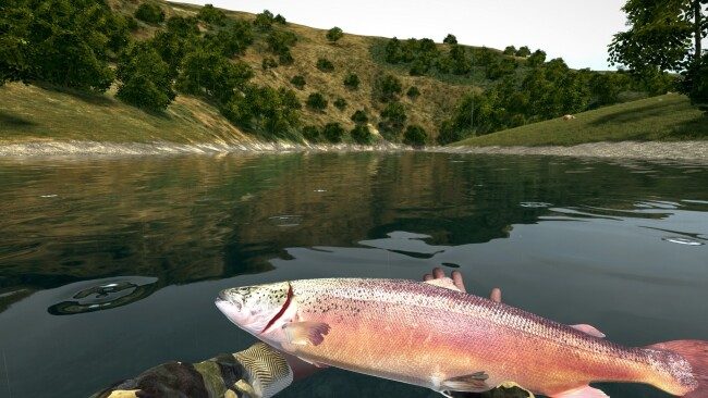 ultimate-fishing-simulator-free-download-screenshot-1-3873424