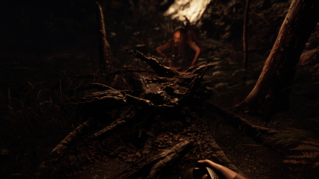 sign-of-silence-crack-650x366-3811548