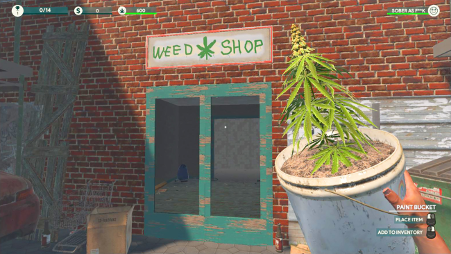 weed-shop-3-pc-650x366-2685932