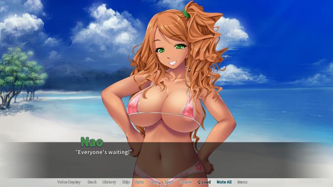 Big Dick at the Beach Torrent Download