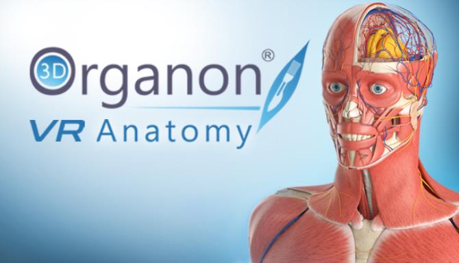 3D Organon VR Anatomy Free Download