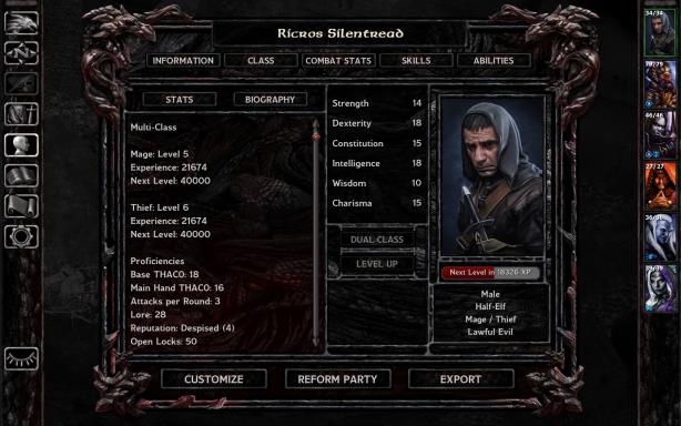 Baldur's Gate: Faces of Good and Evil PC Crack