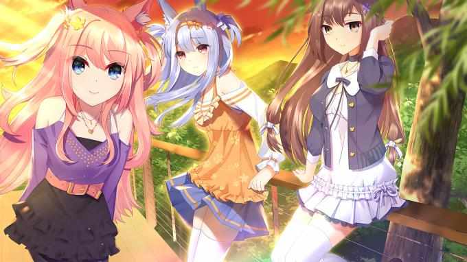 Fluffy Store Torrent Download