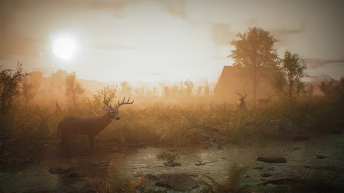 Morels: The Hunt PC Crack