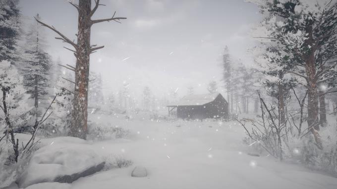 Northern Lights Torrent Download