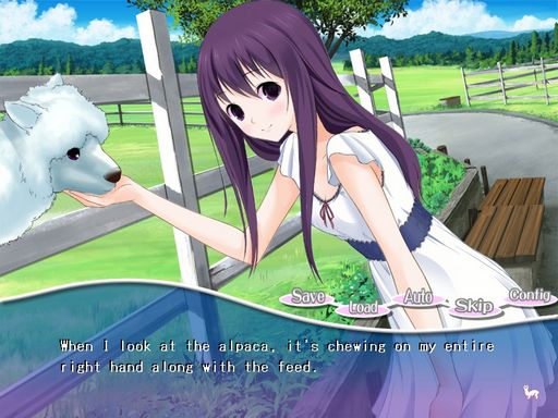 PacaPlus Torrent Download