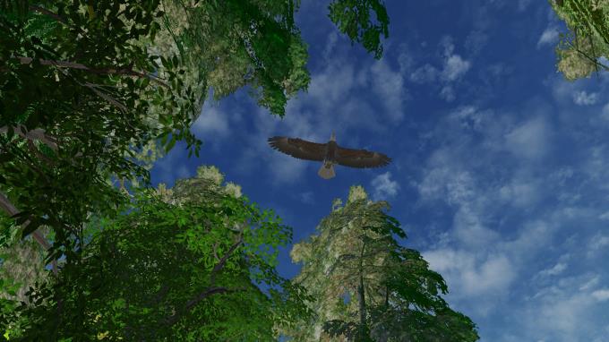 Safari Grounds - The Wilpattu Leopard PC Crack