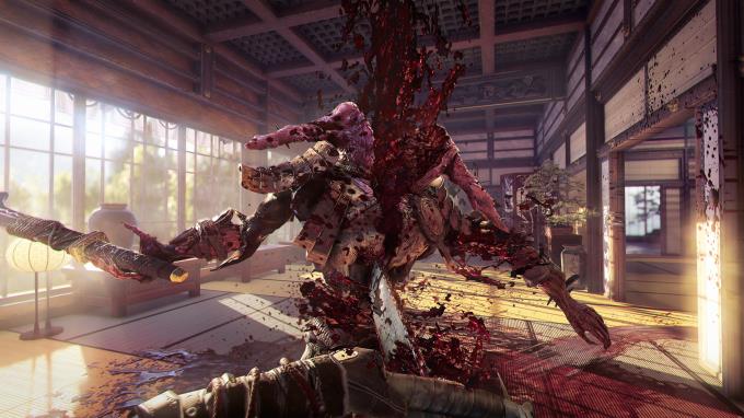 Shadow Warrior 2 Deluxe Edition PC Crack