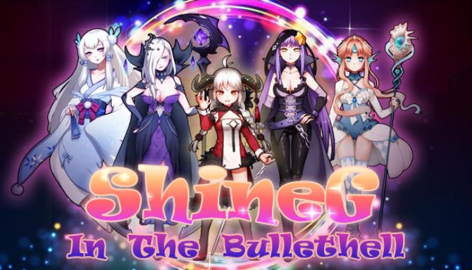 ShineG In The Bullethell Free Download