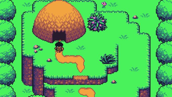 Tropicalia Torrent Download