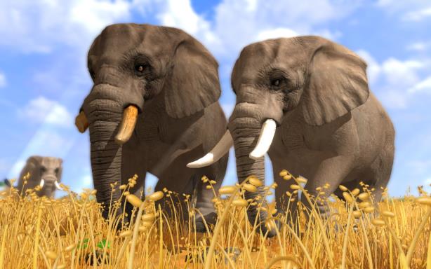 Wildlife Park 3 Torrent Download