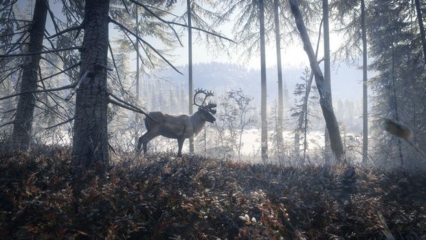 theHunter: Call of the Wild Medved Taiga Torrent Download