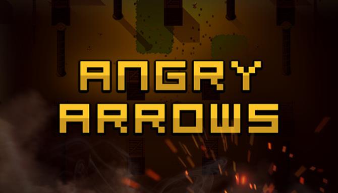 Angry Arrows Free Download