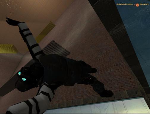 Half-Life 2: Deathmatch Torrent Download