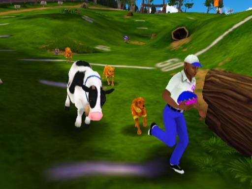 Jerry Rice & Nitus' Dog Football Torrent Download