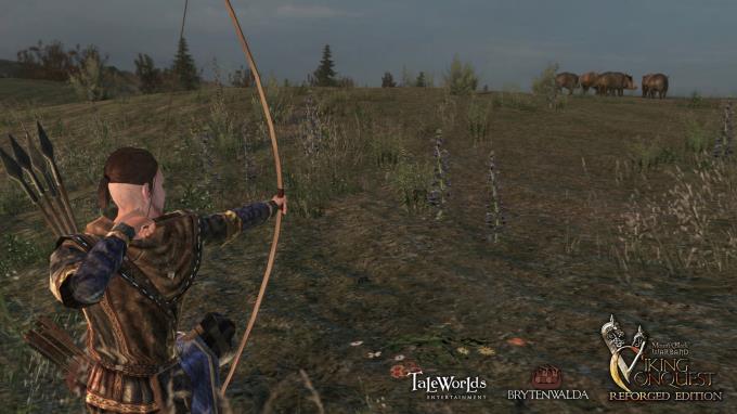 Mount & Blade: Warband - Viking Conquest Reforged Edition PC Crack