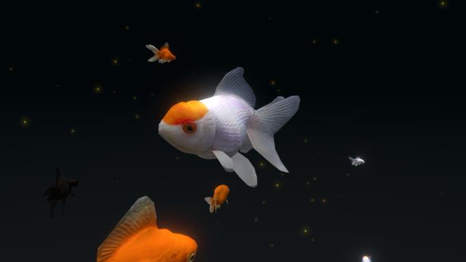 VR Aquarium -雅- Torrent Download