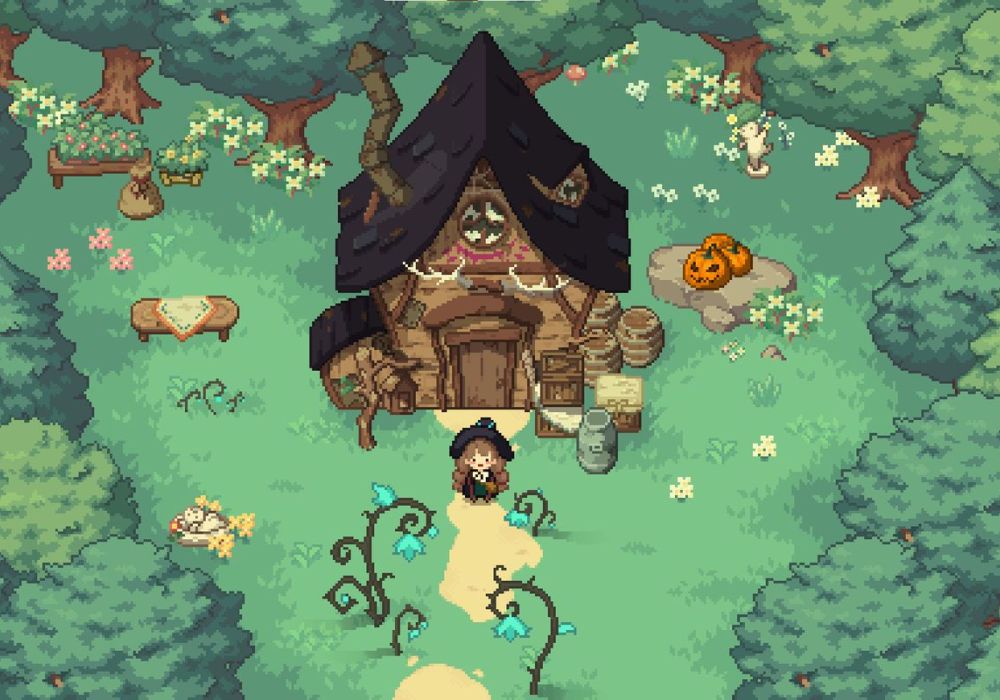 Village and The Witch Download