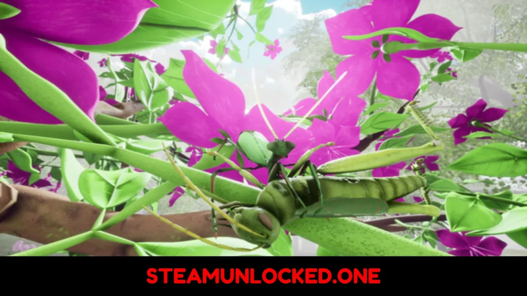 Nature And Life Drunk On Nectar Download Free Full Version